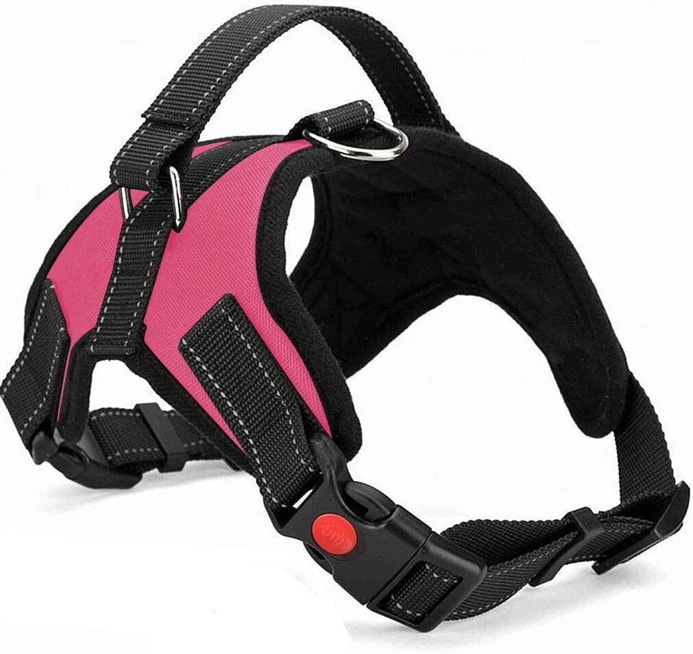 Dog Harness No Pull For Small Medium Large Dogs Anti Pull Strong And Adjustable - Image 18
