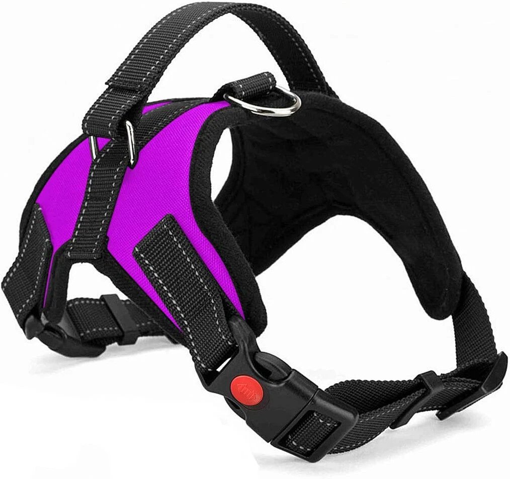 Dog Harness No Pull For Small Medium Large Dogs Anti Pull Strong And Adjustable - Image 19