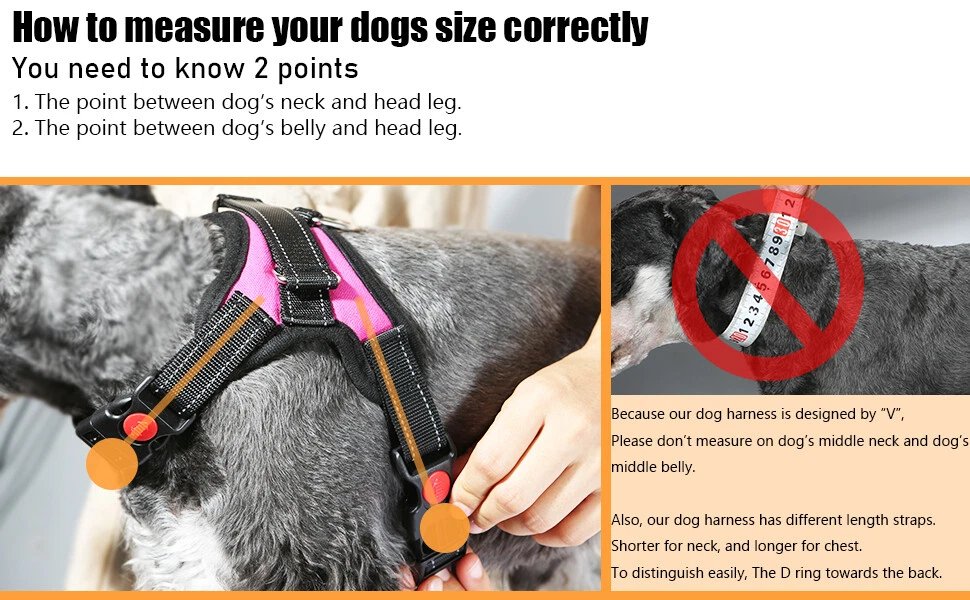 Dog Harness No Pull For Small Medium Large Dogs Anti Pull Strong And Adjustable - Image 40