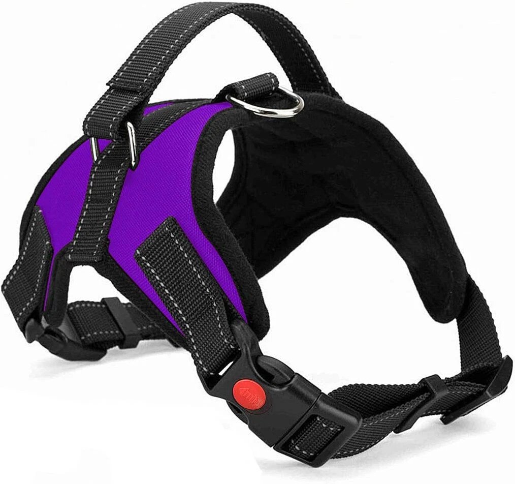 Dog Harness No Pull For Small Medium Large Dogs Anti Pull Strong And Adjustable - Image 41