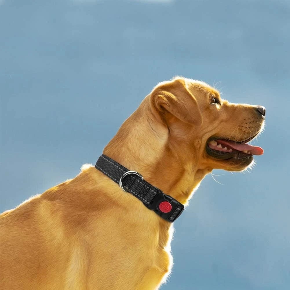 Dog Collar Reflective Adjustable Puppy Comfortable Padded Neoprene Small Medium - Image 5