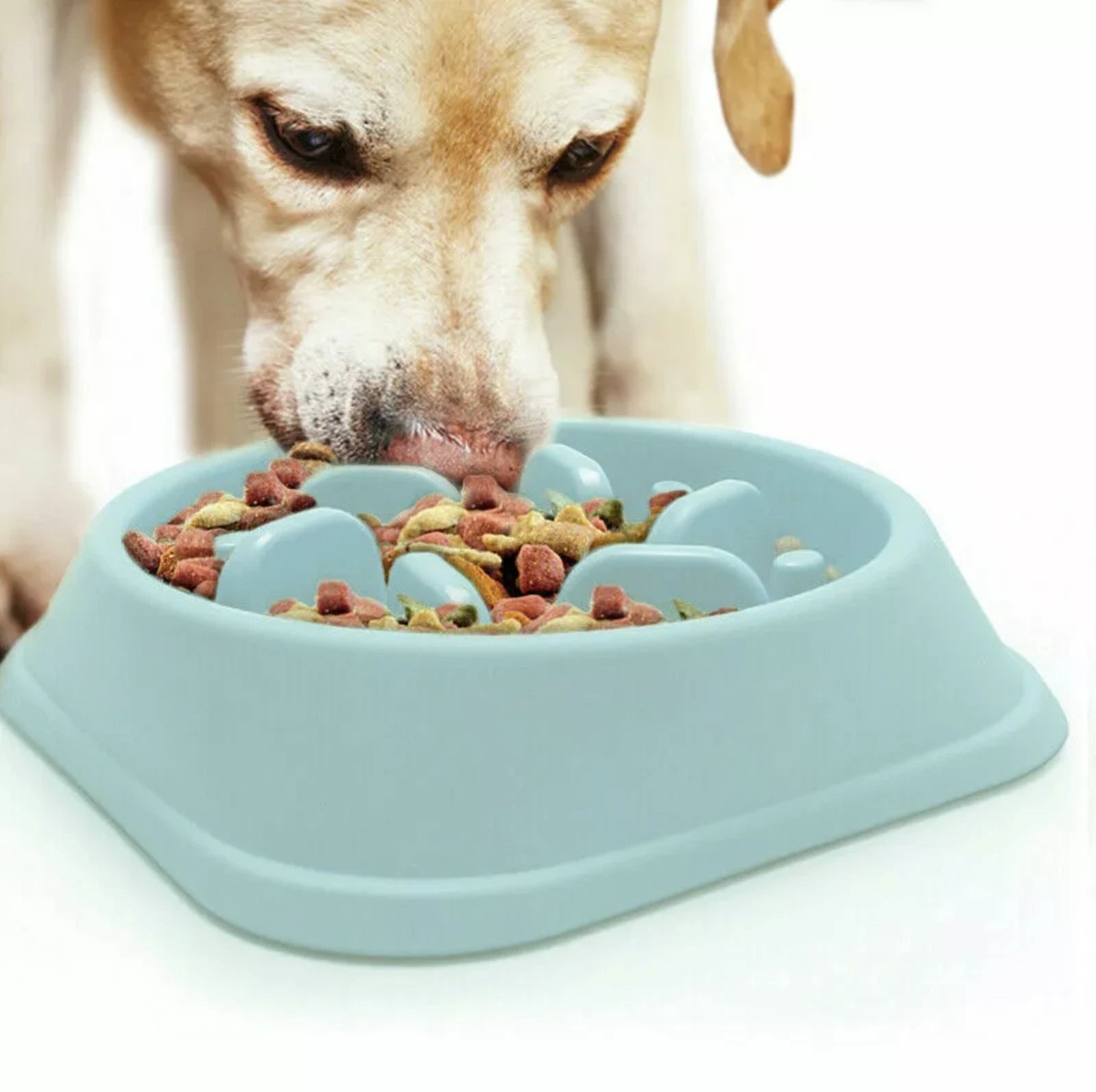 Dog Bowl Slow Feeder Pet Bowl Anti Bloating Anti Slip Feet Interactive Feed Dish - Image 9